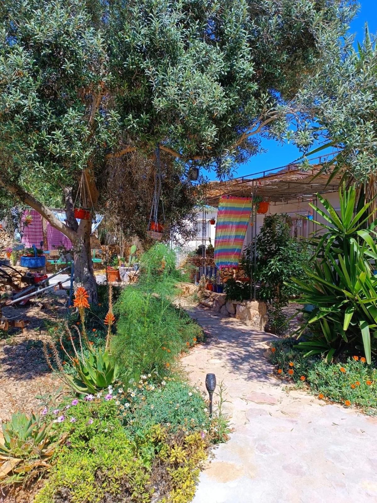 Apartamento Cala Creta LMP Exterior foto